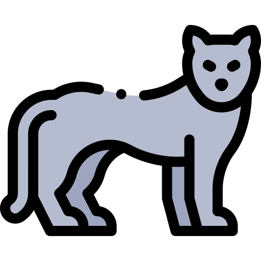 panther Detailed Rounded Lineal color icon