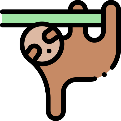 Sloth Detailed Rounded Lineal color icon