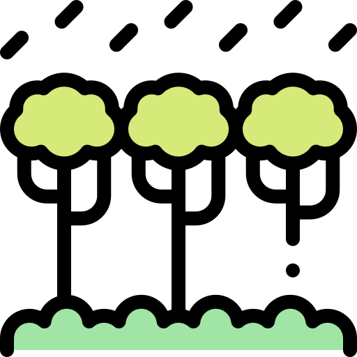 Rainforest Detailed Rounded Lineal color icon