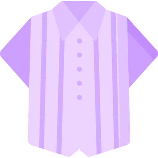 Shirt Special Flat icon