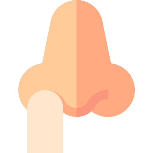 nase Basic Straight Flat icon