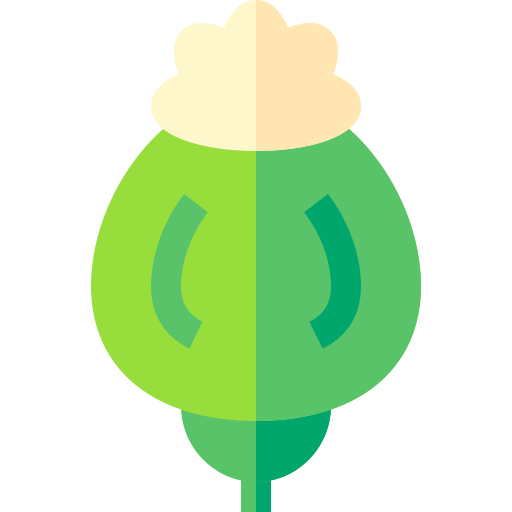 opium Basic Straight Flat ikona