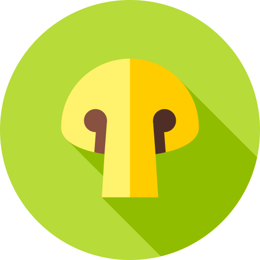 champignon Flat Circular Flat icon