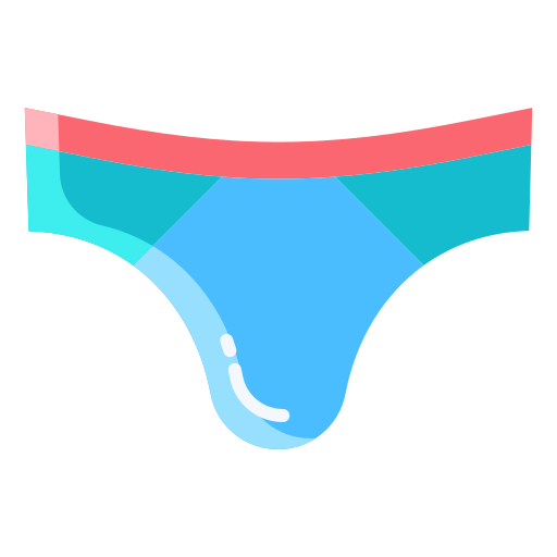 Underwear Icongeek26 Flat icon