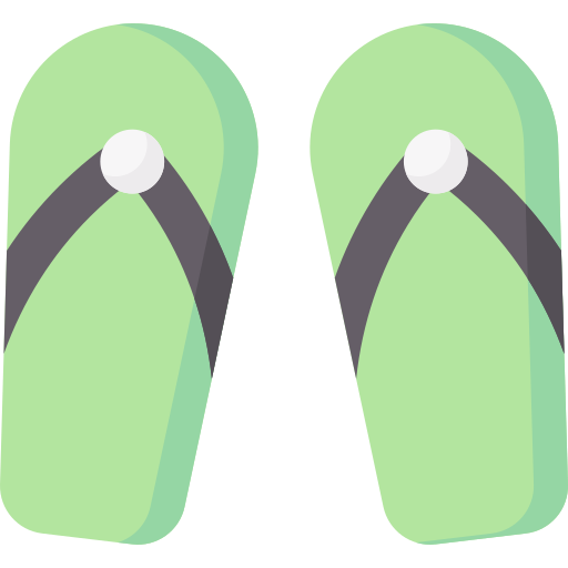 flip flops Special Flat icon