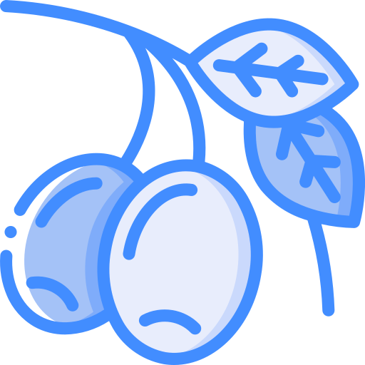 oliven Basic Miscellany Blue icon