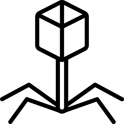 virus Basic Miscellany Lineal Icône