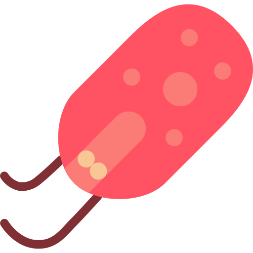 Bacteria Basic Miscellany Flat icon