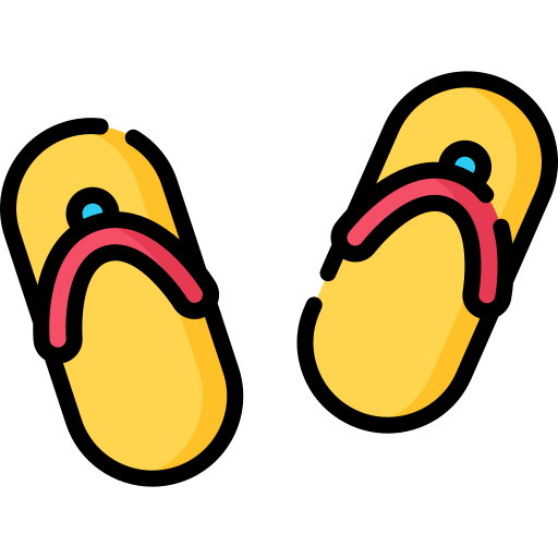 flip flops Special Lineal color icon