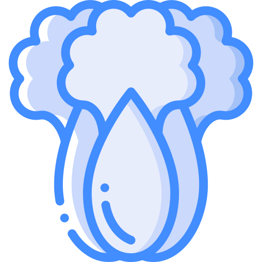 cavolo cinese Basic Miscellany Blue icona