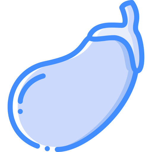 가지 Basic Miscellany Blue icon