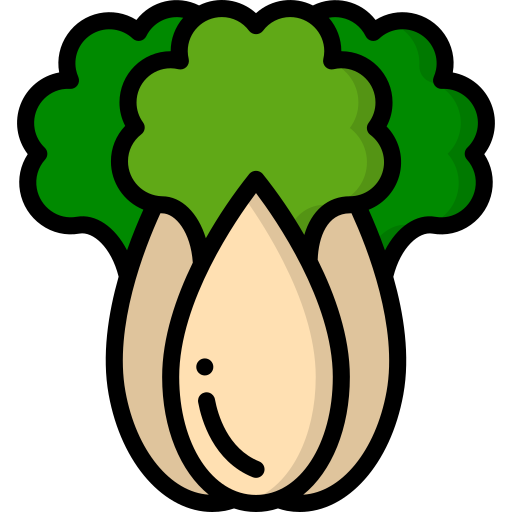 Bok choy Basic Miscellany Lineal Color icon