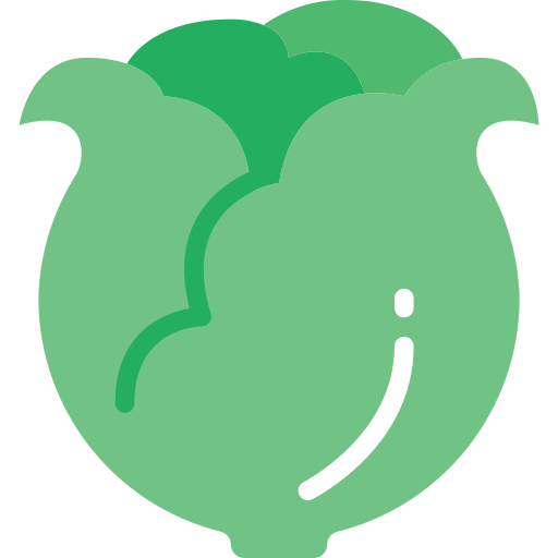 Lettuce Basic Miscellany Flat icon