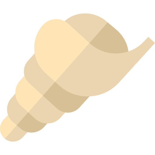 Seashell Basic Straight Flat icon
