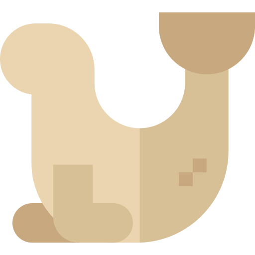 바다 코끼리 Basic Straight Flat icon