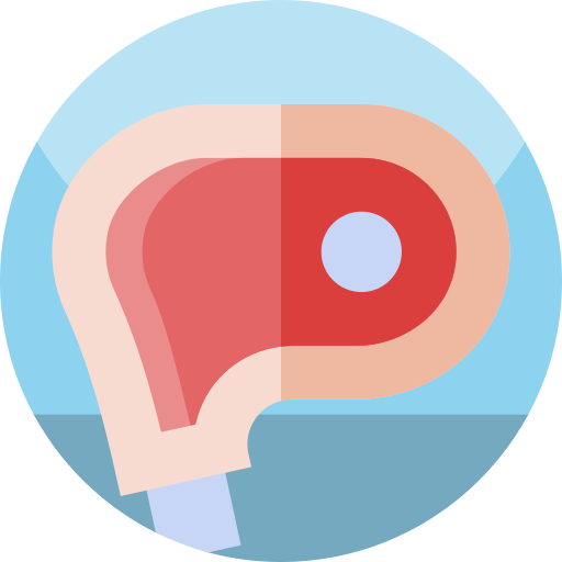 Meat Geometric Flat Circular Flat icon