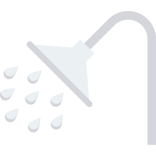 alcachofa de la ducha Dinosoft Flat icono