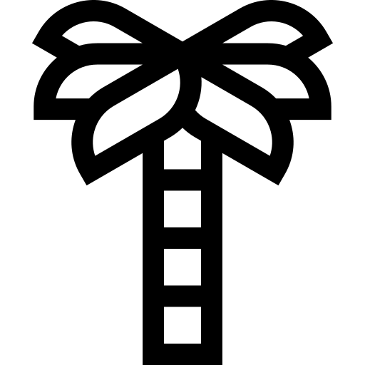 palmier Basic Straight Lineal Icône