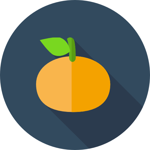 oranje Flat Circular Flat icoon