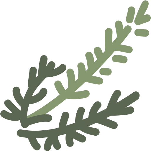 dill Generic Outline Color icon