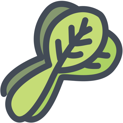 bok choy Generic Outline Color icon