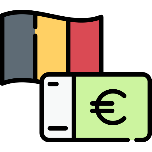 Euro Special Lineal color icon