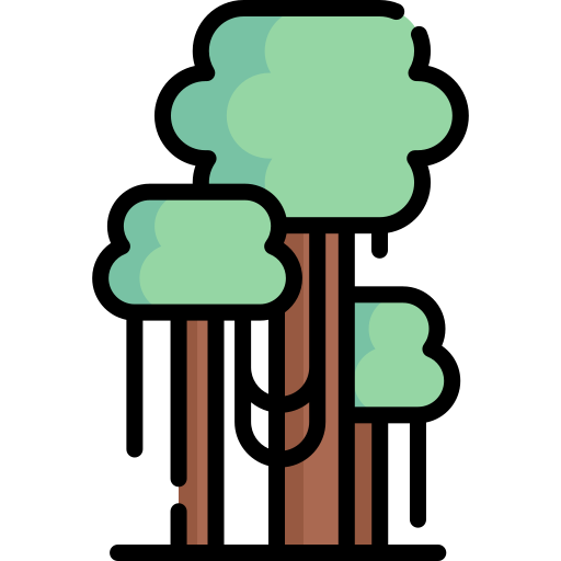 bomen Special Lineal color icoon