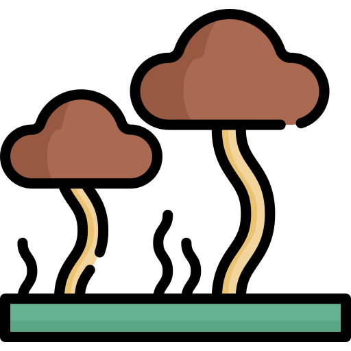 Mushrooms Special Lineal color icon