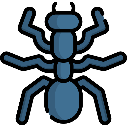Ant Special Lineal color icon