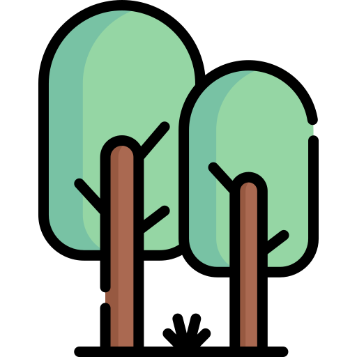 bomen Special Lineal color icoon