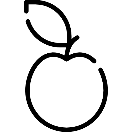 manzana Special Lineal icono
