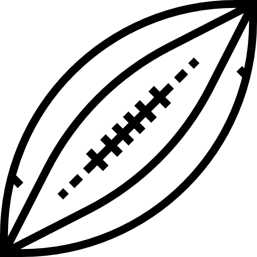 럭비 Detailed Straight Lineal icon