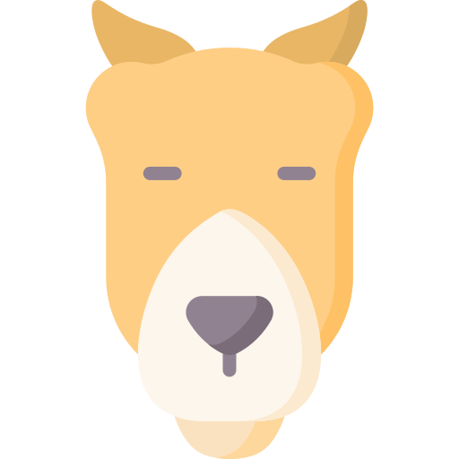 wielbłąd Special Flat ikona