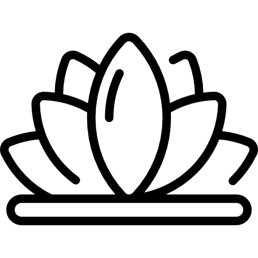 Lotus Special Lineal icon