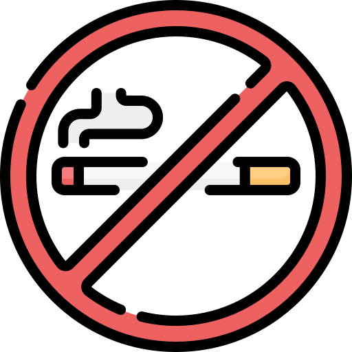 rauchen verboten Special Lineal color icon