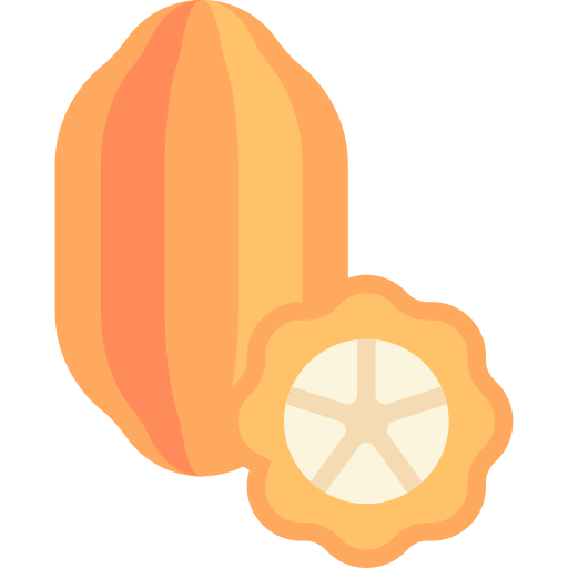 Cacao Special Flat icon