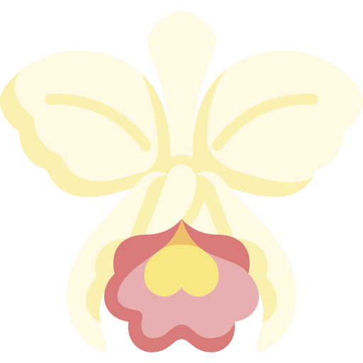 orquídea Special Flat Ícone