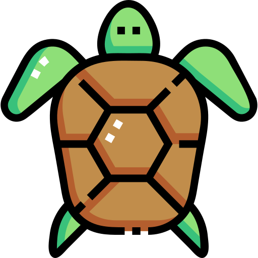 żółw Detailed Straight Lineal color ikona