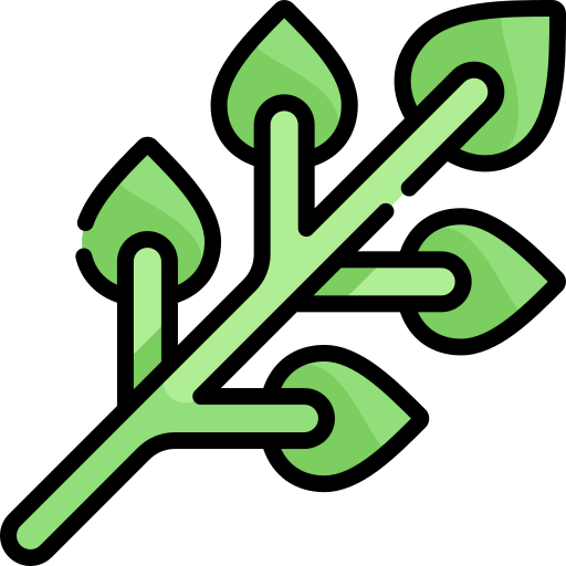Leaf Kawaii Lineal color icon