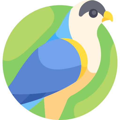 鳥 Detailed Flat Circular Flat icon