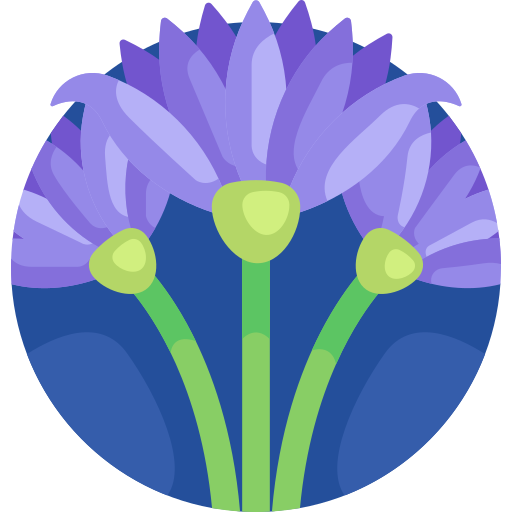 lotus Detailed Flat Circular Flat icon
