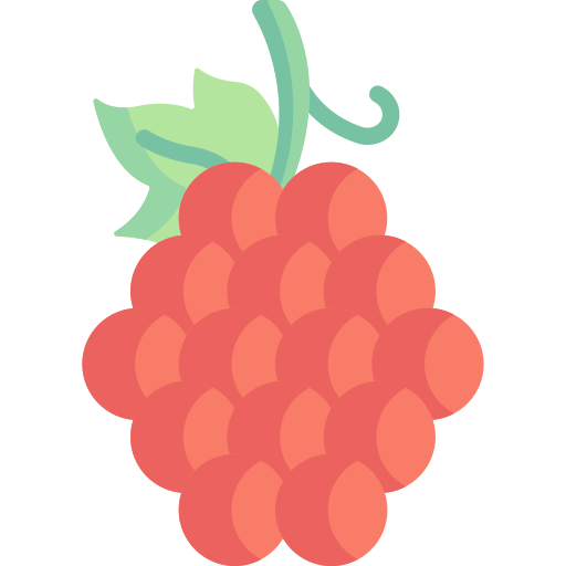 Grapes Special Flat icon