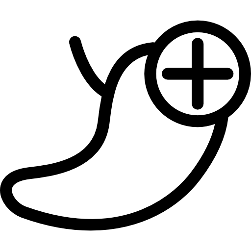 menschliches organ mit pluszeichen  icon