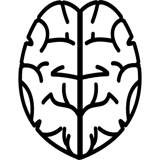 cérebro  Ícone