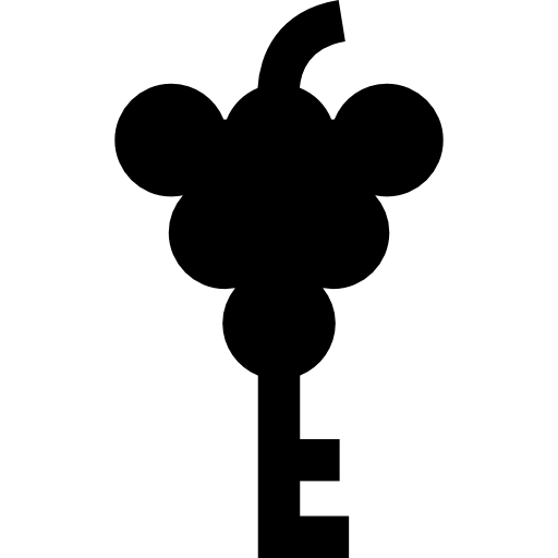 llave con forma de uva  icono