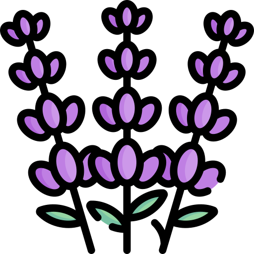 lavendel Special Lineal color icon