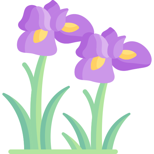 Iris Special Flat icon
