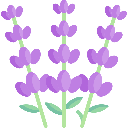 Lavender Special Flat icon