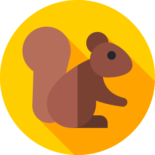 Squirrel Flat Circular Flat icon