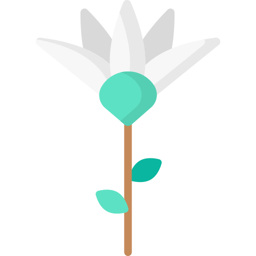 lotus Special Flat Icône
